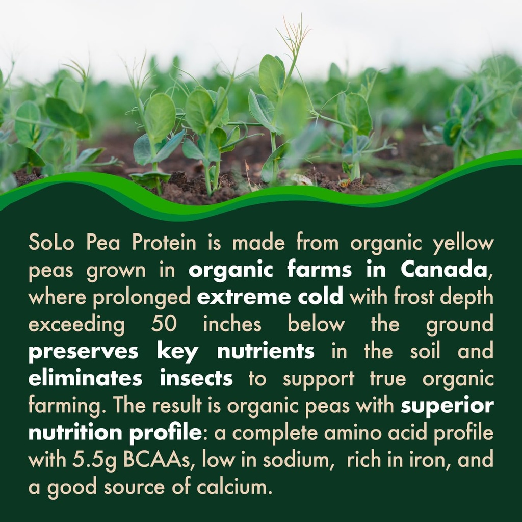 solo-organic-pea-protein-isolate-low-in--4.jpg