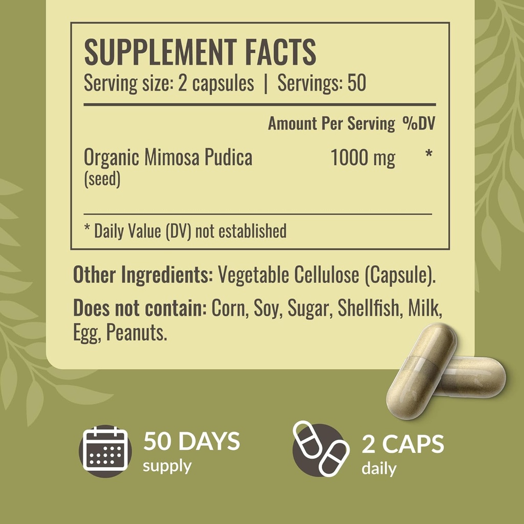 herbamama-mimosa-pudica-seed-capsules----3.jpg