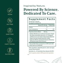 gaia-herbs-pro-cognitive-formula---brain-2.jpg
