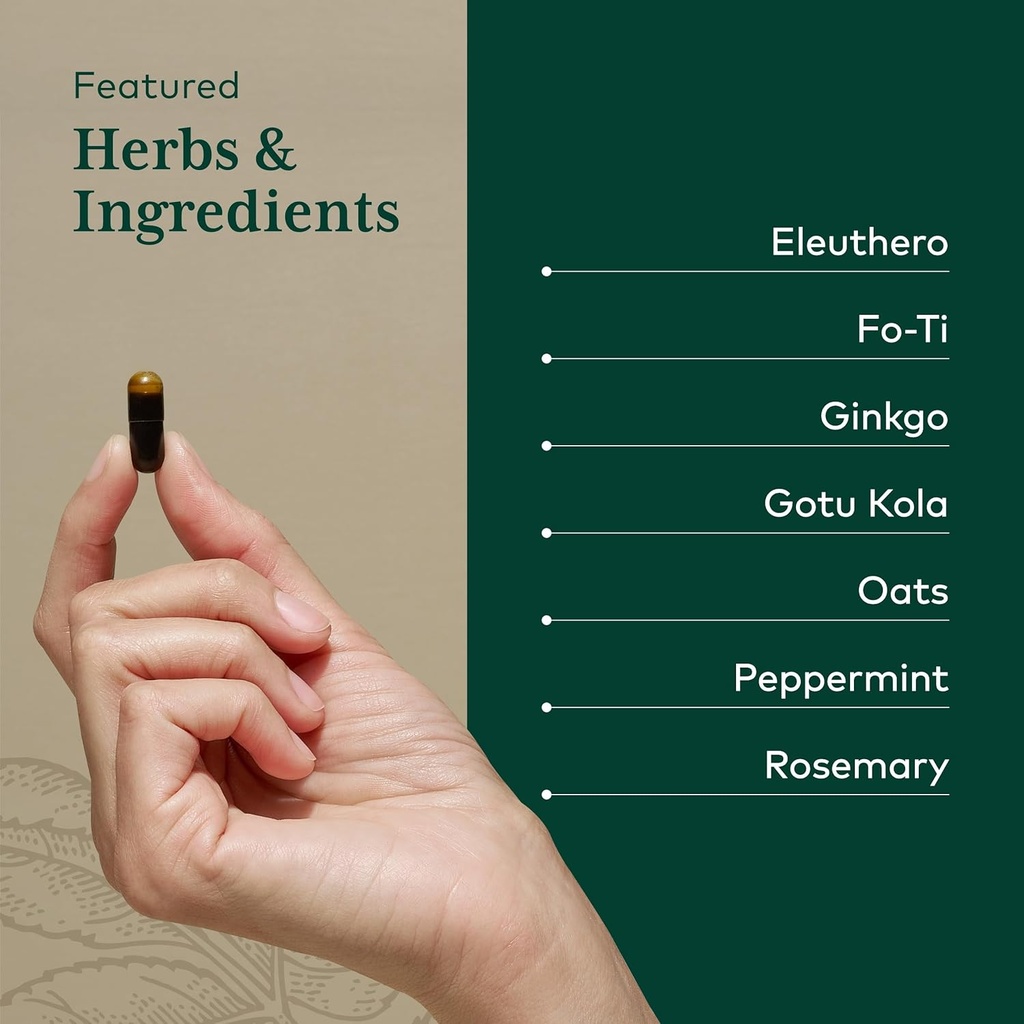 gaia-herbs-pro-cognitive-formula---brain-4.jpg