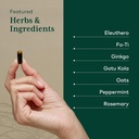 gaia-herbs-pro-cognitive-formula---brain-4.jpg