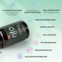 nfo-vitamin-b-complex-90-tablets-premium-3.jpg