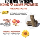soactive-berberine-550mg-96x-higher-abso-4.jpg