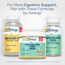 solaray-psyllium-husk-powder---psyllium--6.jpg