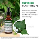 nutramedix-houttuynia---gastrointestinal-5.jpg