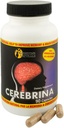 sunshine-naturals-cerebrina-with-ginkgo--4.jpg