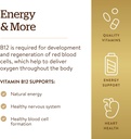 solgar-vitamin-b12-500-mcg-250-vegetable-5.jpg