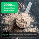nutrachamps-beet-root-powder-lions-mane--5.jpg