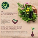 flax-seed-oil-capsule-gluten-free-omega--4.jpg