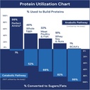 bodyhealth-perfectamino-electrolyte-powd-4.jpg