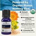forces-of-nature-scar-treatment-reduce-s-5.jpg