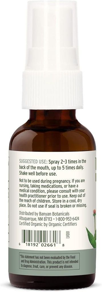 banyan-botanicals-throat-soother-herbal--2.jpg
