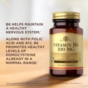 solgar-vitamin-b6-100-mg---100-vegetable-5.jpg
