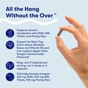 flyby-recovery-supplement---all-the-hang-2.jpg