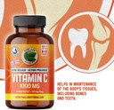 vitamin-c-1000-mg---tapioca-source---120-5.jpg