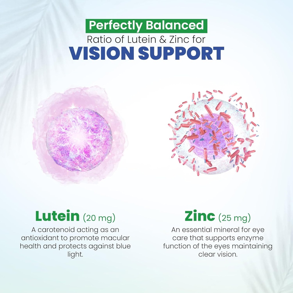 dr-vitamin-solutions-vision-support-eye--6.jpg