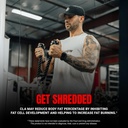 prosupps-cla-3000-lean-body-composition--5.jpg