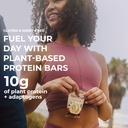 laird-superfood-functional-protein-bars--5.jpg