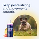 honest-paws-wild-alaskan-salmon-oil-for--6.jpg