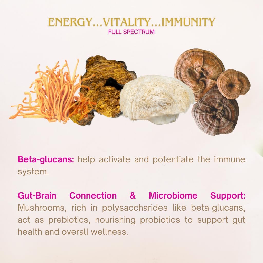 eleven-tlc-lions-mane-mushroom-powder-or-6.jpg