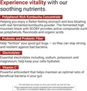 activatedyou-daily-digestive-tonic-kombu-4.jpg
