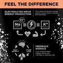 lmnt-sparkling-electrolyte-drink---grape-3.jpg