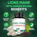 satoomi-lions-mane-with-ginkgo-biloba-su-5.jpg