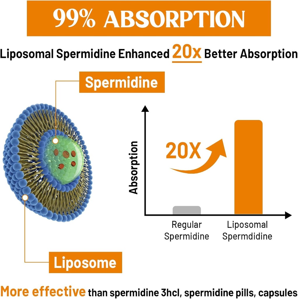 30mg-spermidine-supplement-for-men-women-4.jpg