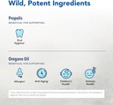 north-american-herb-spice-propaheal---1--3.jpg