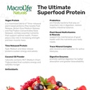 macrolife-naturals-macromeal-vegan-choco-4.jpg