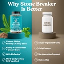 chanca-piedra-stone-breaker-3-pack-bundl-4.jpg