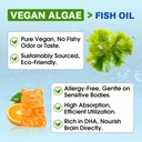2-pack-omega-3-gummies-potent-algae-omeg-5.jpg