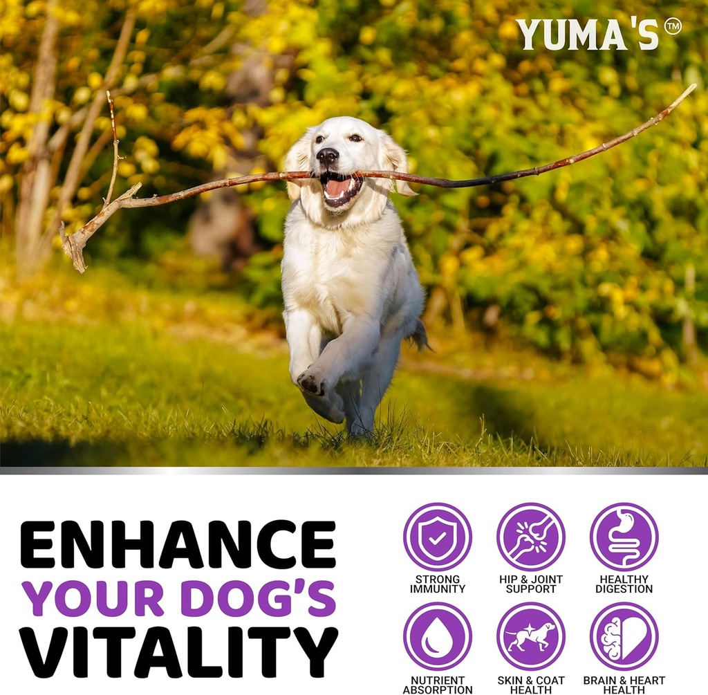 dog-multivitamin-chewable-with-glucosami-4.jpg