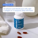 bodybio-pc---phosphatidylcholine-for-bra-4.jpg