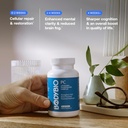 bodybio-pc---phosphatidylcholine-for-bra-5.jpg