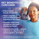 tetracumin-qr-joint-support-supplement-q-3.jpg