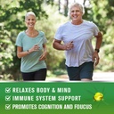 2pack-hemp-oil-capsules---60000-maximum--3.jpg