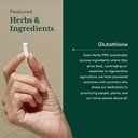 gaia-herbs-pro-glutathione-500---antioxi-4.jpg