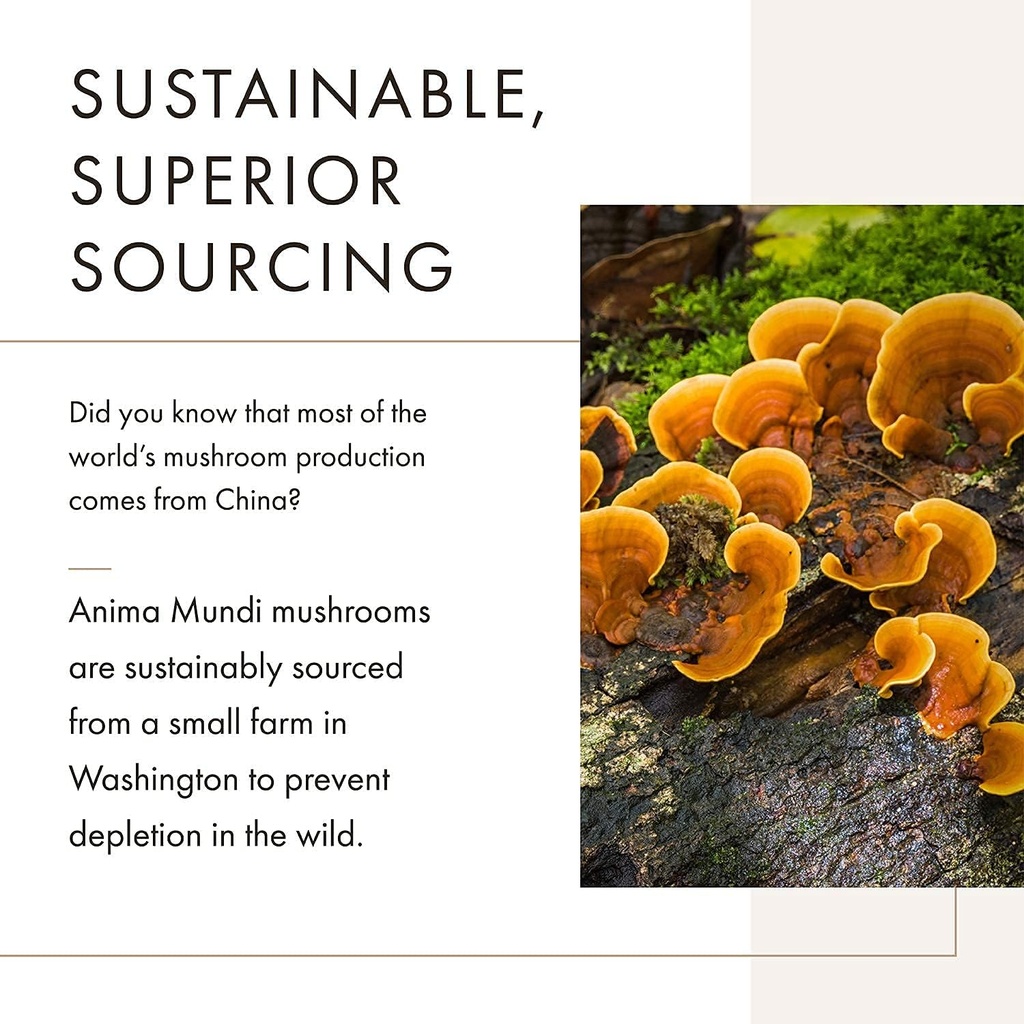 anima-mundi-apothecary-soma-7-mushroom-a-3.jpg