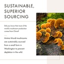 anima-mundi-apothecary-soma-7-mushroom-a-3.jpg