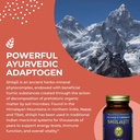 healthforce-superfoods-shilajit---120-ve-4.jpg