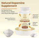 dopamine-supplement-mucuna-pruriens-seed-5.jpg
