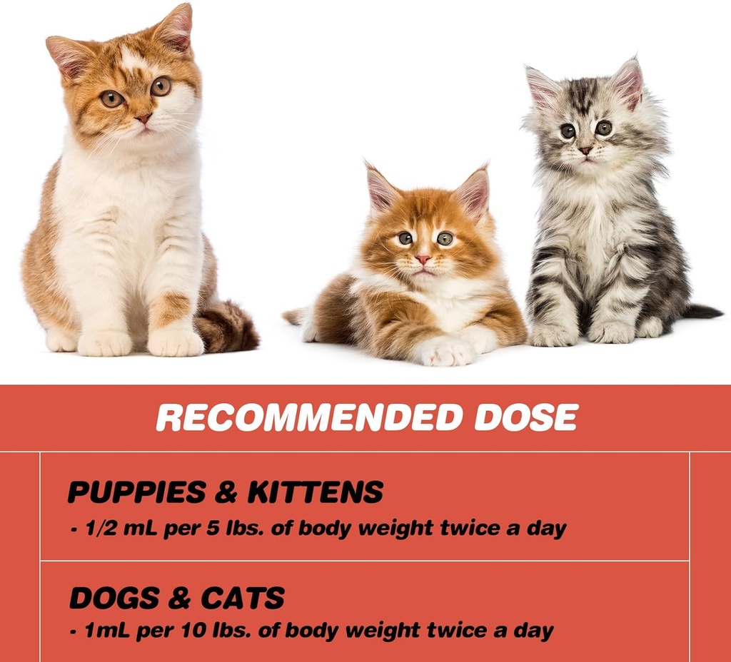 iron-supplements-for-cats---liquid-iron--6.jpg