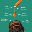 glx3-extra-strength-green-lipped-mussel--3.jpg