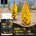 cistanche-tubulosa-extract-1-pack-3.jpg