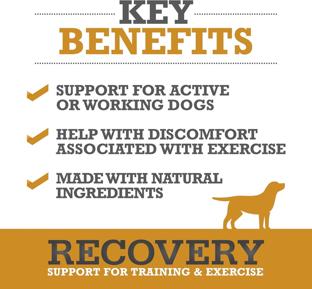 winpro-recovery-soft-chews-for-dogs-plas-2.jpg