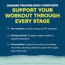 true-grace-electromag---grapefruit-16-st-5.jpg