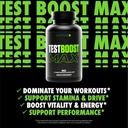 sculpt-nation-by-v-shred-test-boost-max--2.jpg