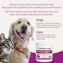 real-mushrooms-mobility-chews-for-dogs-c-4.jpg