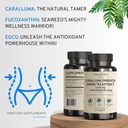 vinatura-caralluma-fimbriata-egcg-45-ext-4.jpg